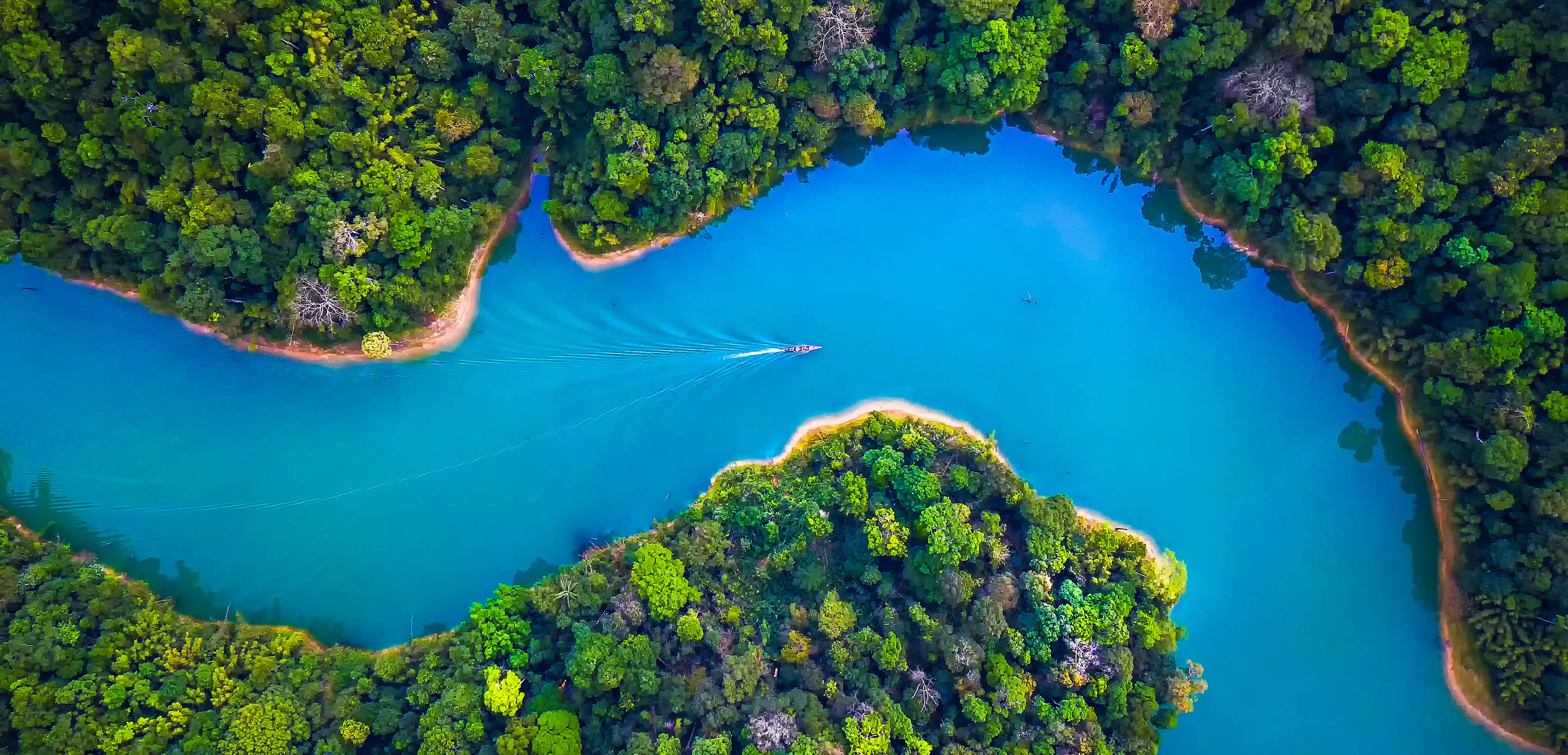 COP15 on biodiversity