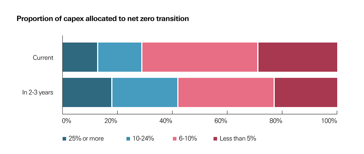 Proportion of capex allocated to net zero transition is expected to rise in next 2-3 years from current allocation.