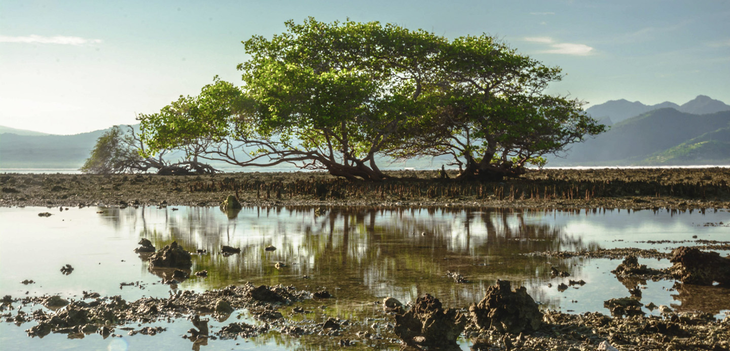 Turning venture-backed innovation into bankable climate infrastructure - banner