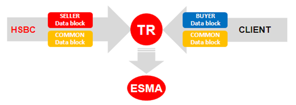 How can you report? How can you report?