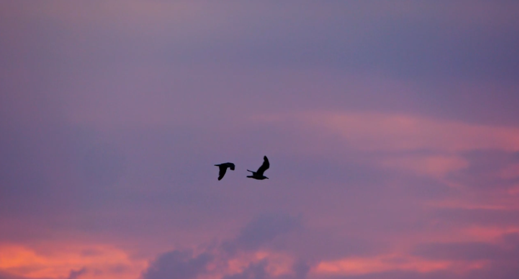 How we helped to take Hothouse Beauty from Yorkshire to New York How we helped to take Hothouse Beauty from Yorkshire to New York