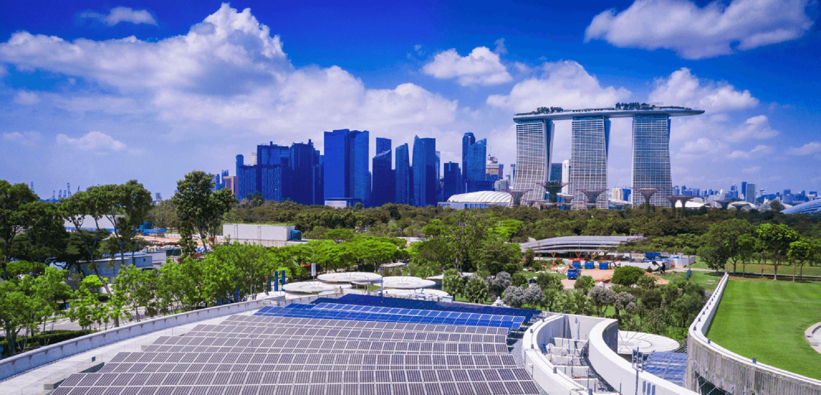 Growing internationally with Carro Growing internationally with Carro