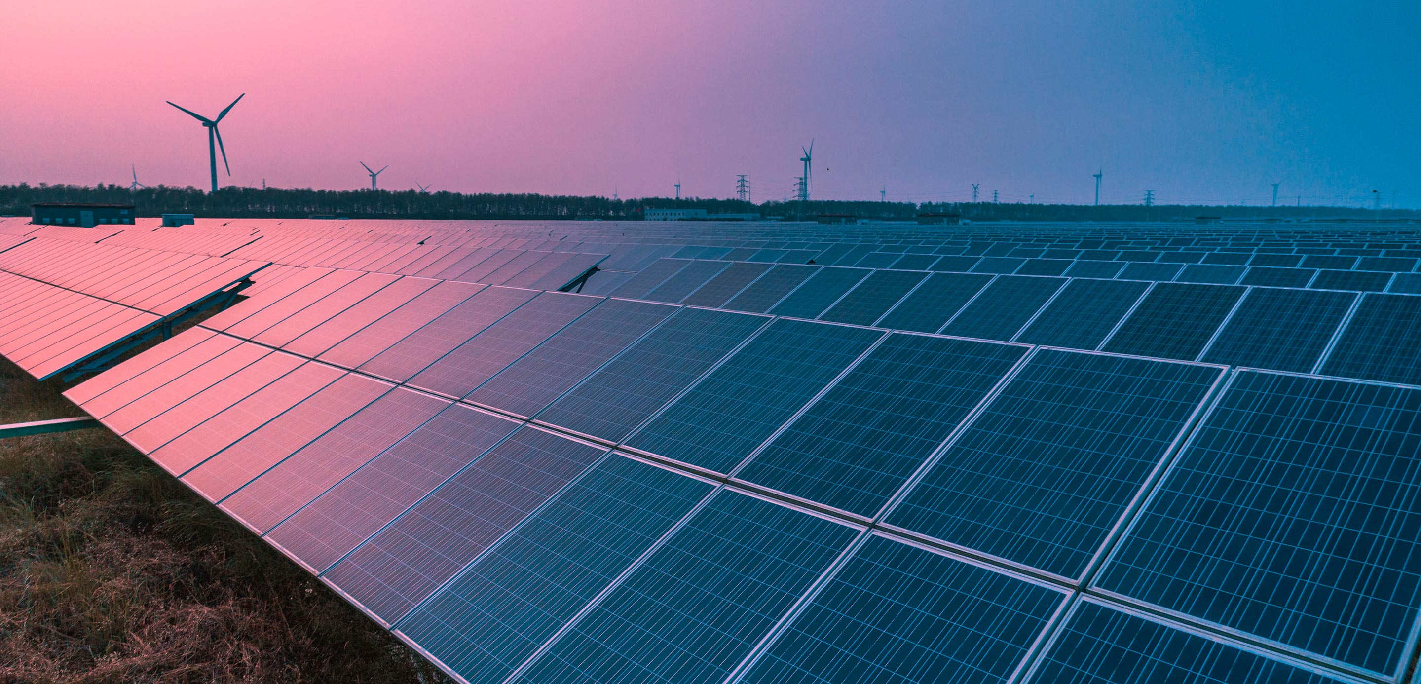 Vertical farming Vertical farming