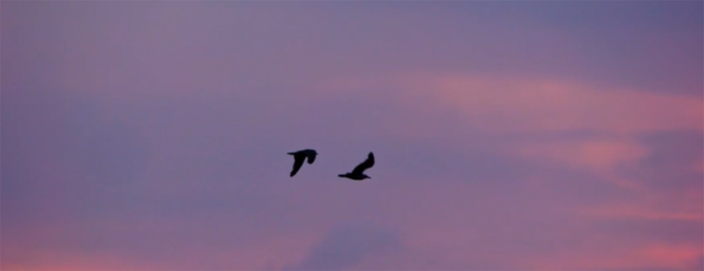 flight-centre flight-centre