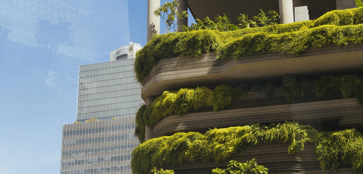 Voluntary carbon market success depends on high-quality credits Voluntary carbon market success depends on high-quality credits