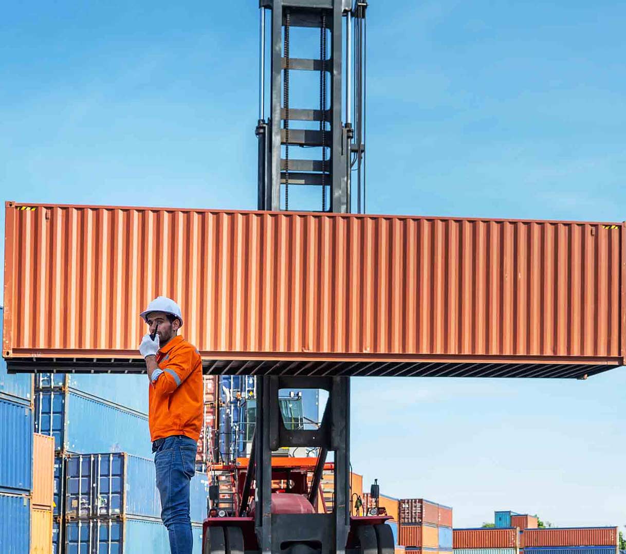 Access the full Navigator reports Access the full Navigator reports